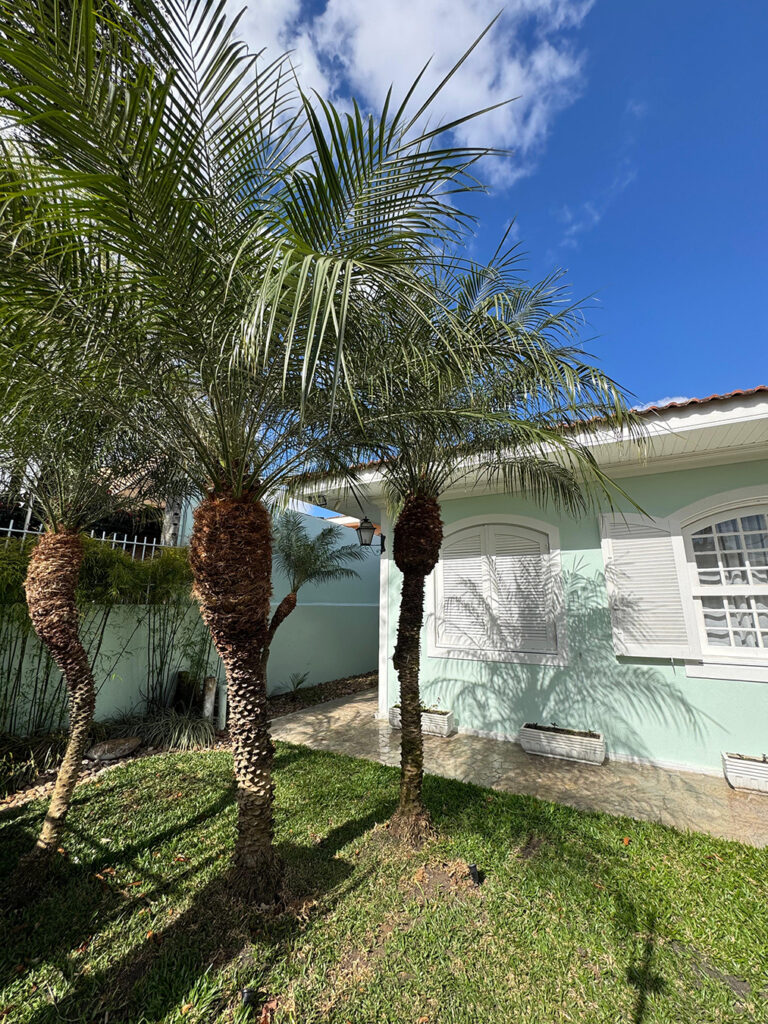 La Serenitá - Residencial para Idosos - Fachada, acolhimento e qualidade de vida para idosos.